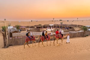 Paquete de tour de 7 días en Dubái con safari en el desierto