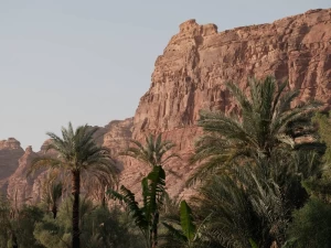 Tours por Arabia Saudita