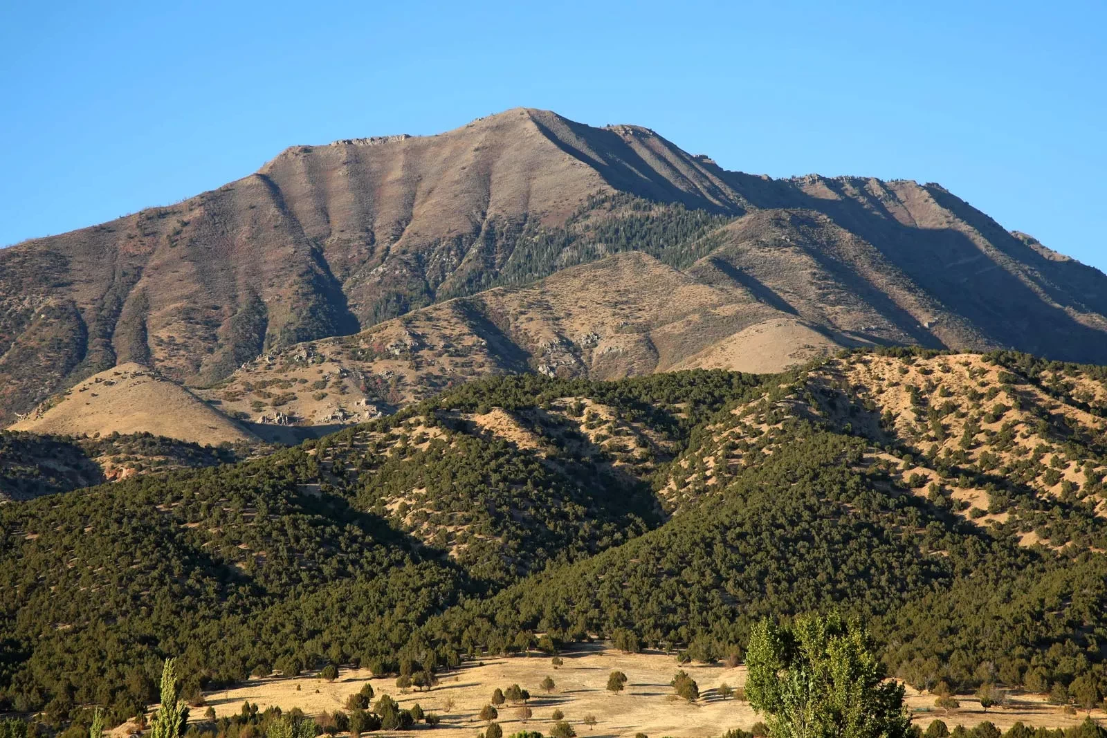Monte Nebo in Giordania