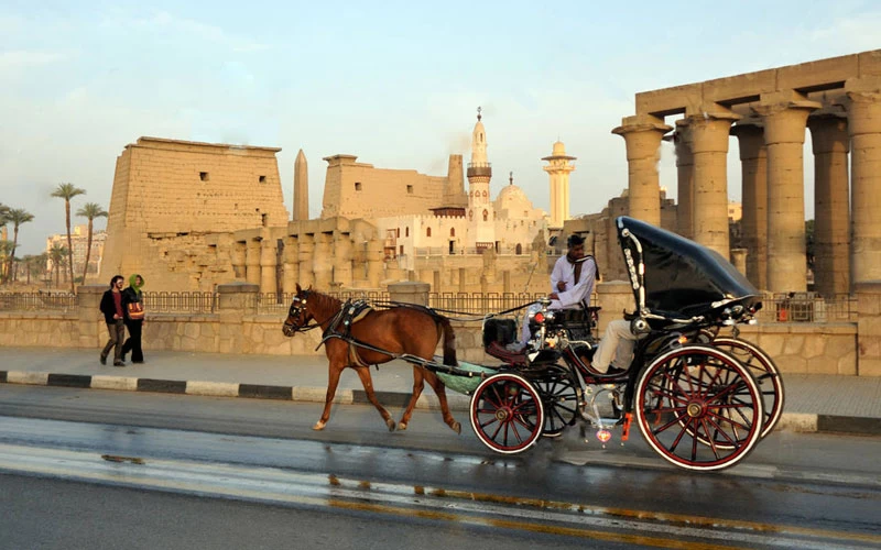 Come godersi una carrozza a cavalli a Luxor?