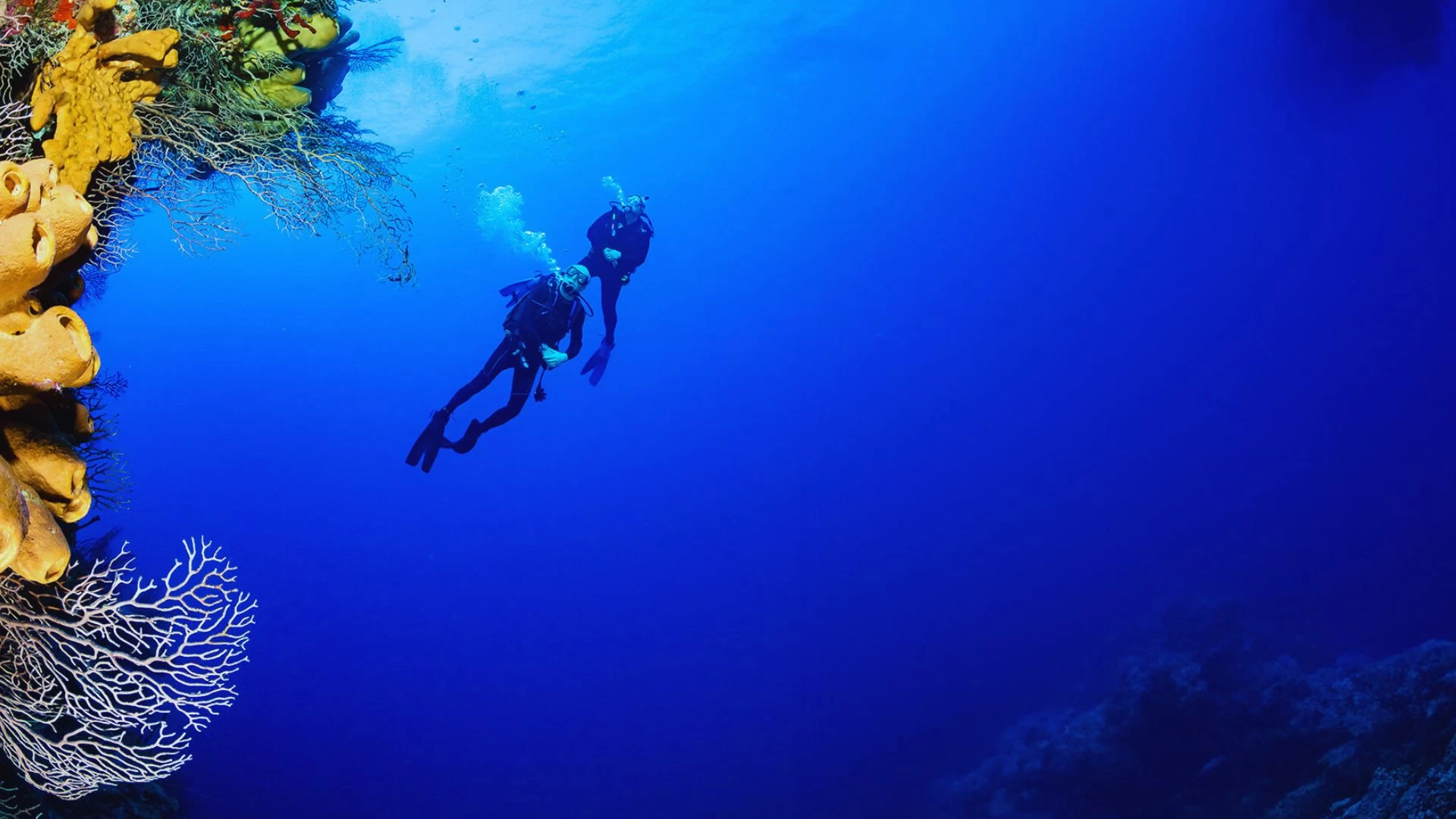 Immersioni a Hurghada