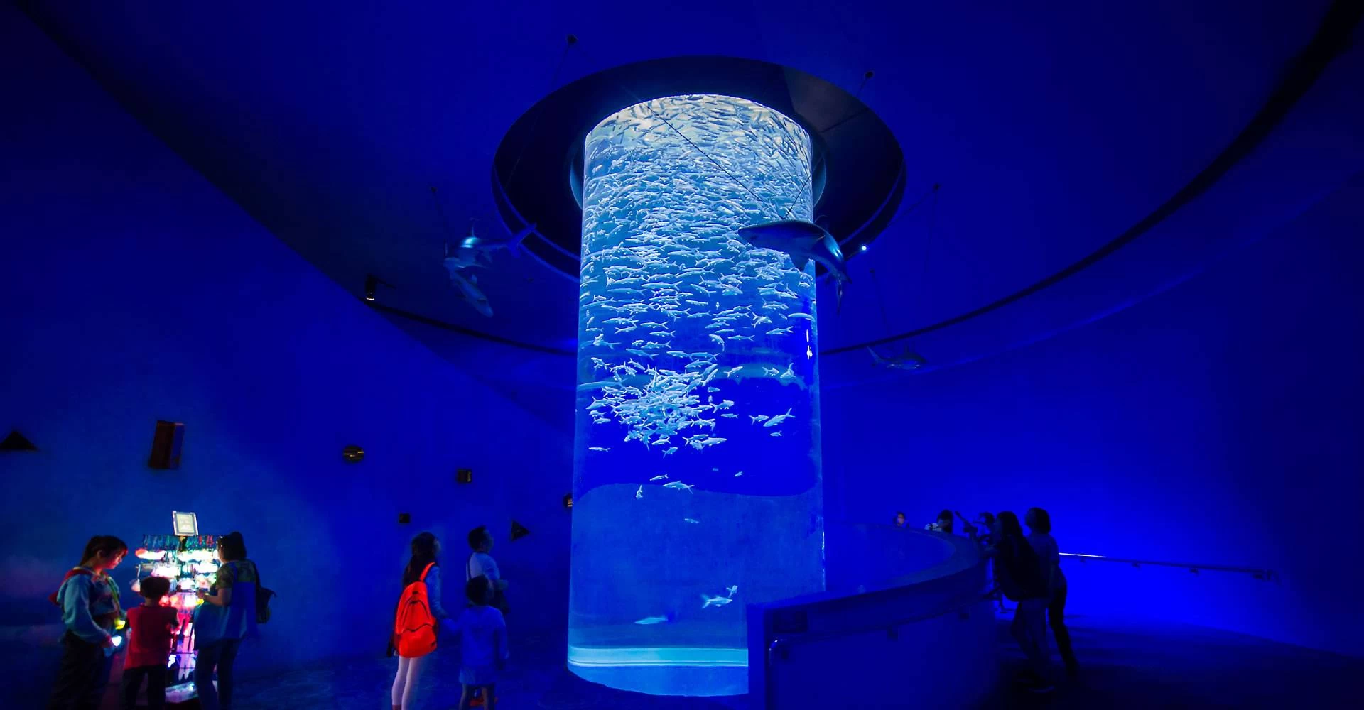 Acuario Grand de Hurghada