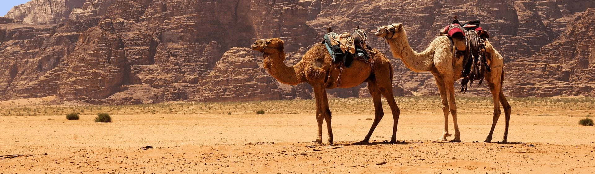 discover the bedouin camps of hurghada with hurghada tours