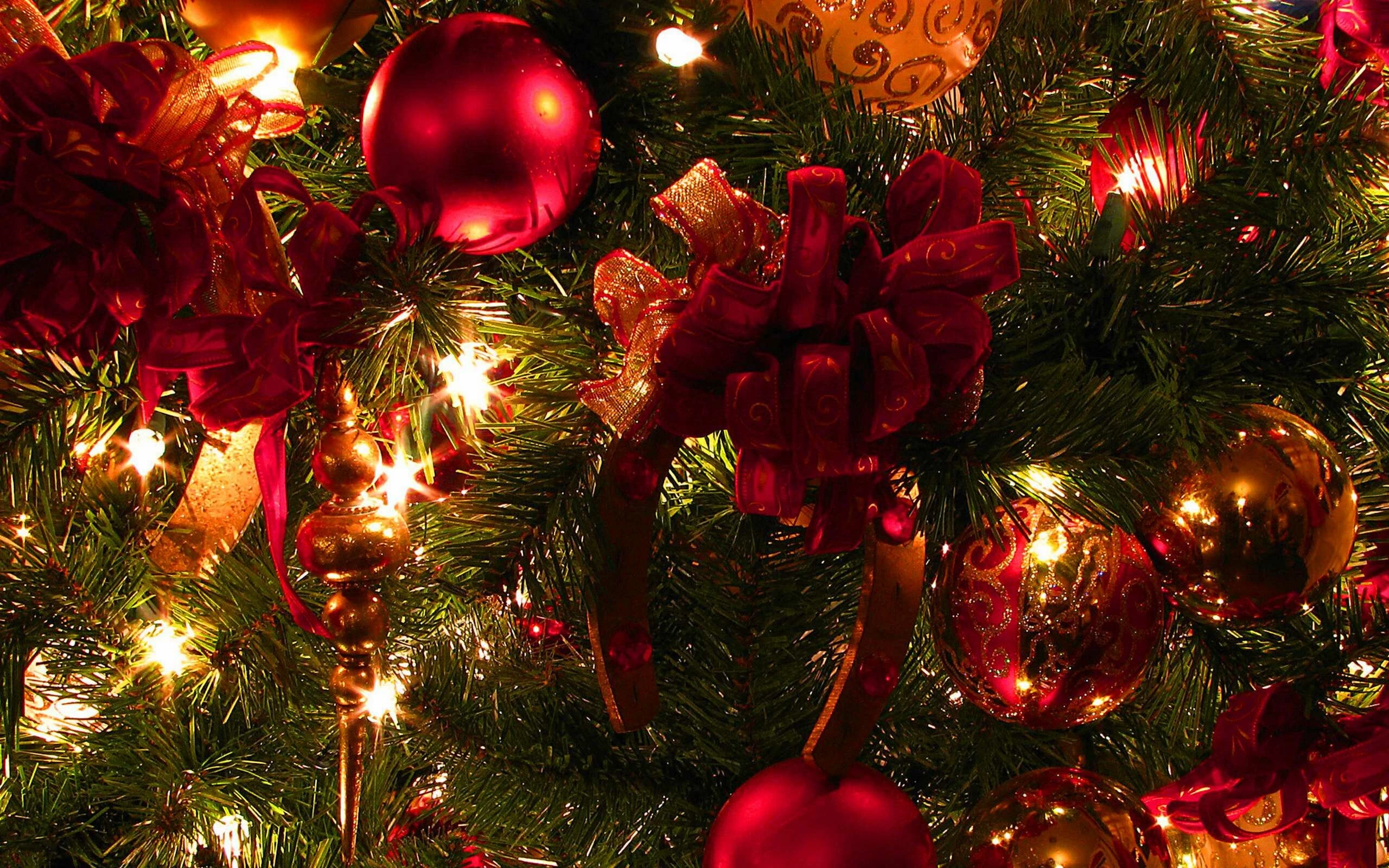 the best of cairo during egypt christmas tour packages