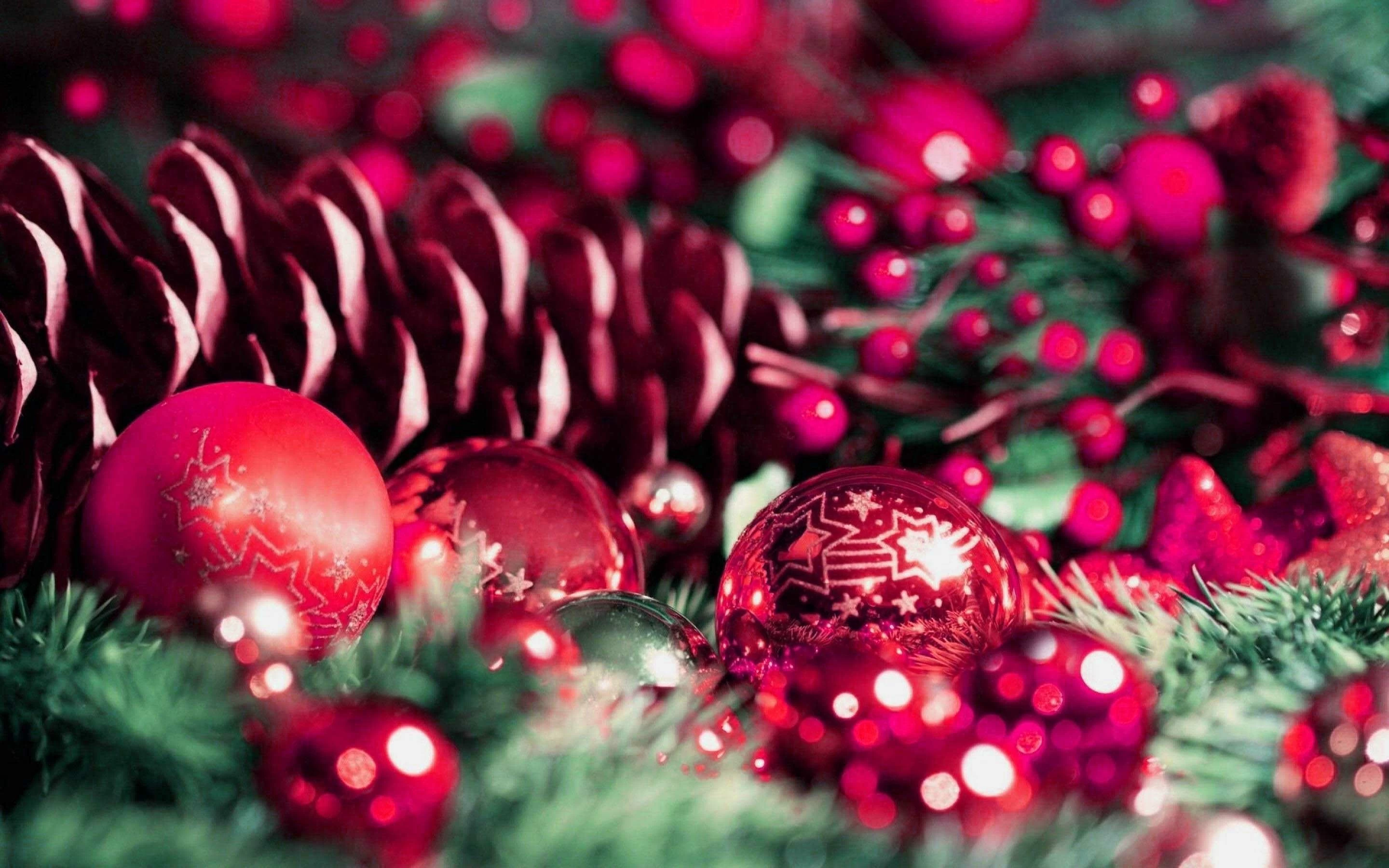 Prenota il viaggio di Natale in Egitto ad Assuan