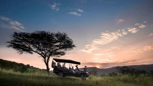 Vivi un viaggio nel parco nazionale del Serengeti con i tour safari in Africa