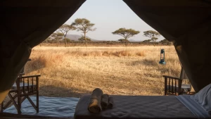 Rilassati al Kati Camp con viaggi in Africa