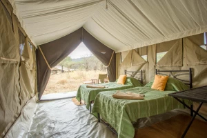 Visita il Kati Camp con tour safari in Africa