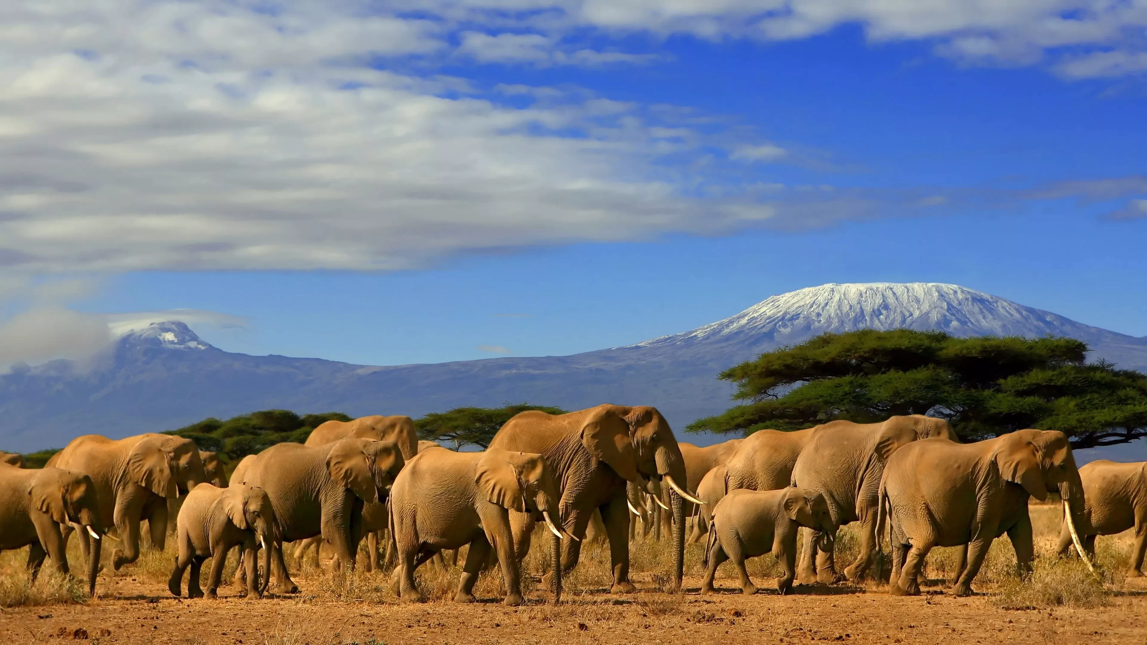 the beauty of kenya during things to do in africa