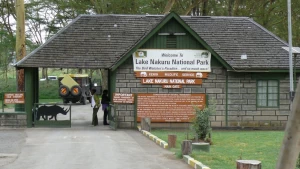 Visita el Parque Nacional del Lago Nakuru durante los viajes por África