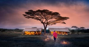 Ve a ver el Parque Nacional Serengeti durante los paquetes vacacionales por África