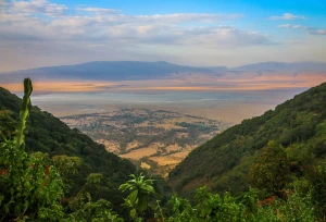 Ve a explorar el Área de Conservación Nacional de Ngorongoro a través de los safaris africanos