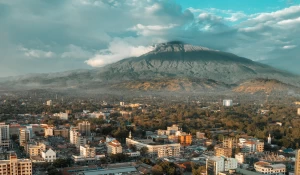 Termina tu tour de safari por África en Arusha
