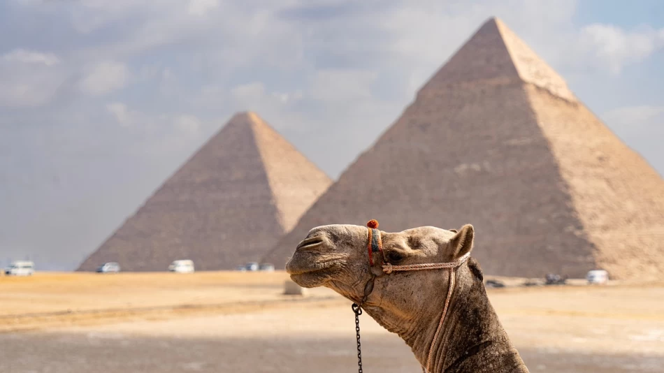 The Giza Pyramids are The Highlight Of The Best Things To Do In Egypt