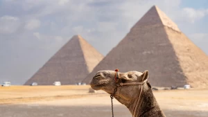 The Giza Pyramids are The Highlight Of The Best Things To Do In Egypt