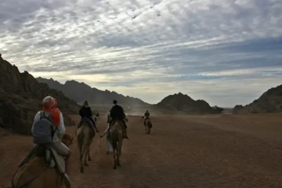 dahab paradise safaris