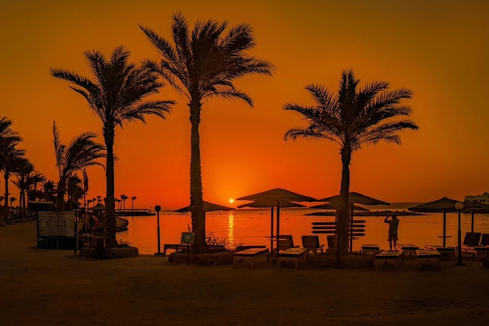 Sunset over Hurghada beach with palm trees silhouetted by the Red Sea