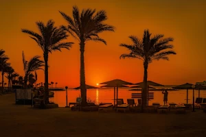 Sunset over Hurghada beach with palm trees silhouetted by the Red Sea