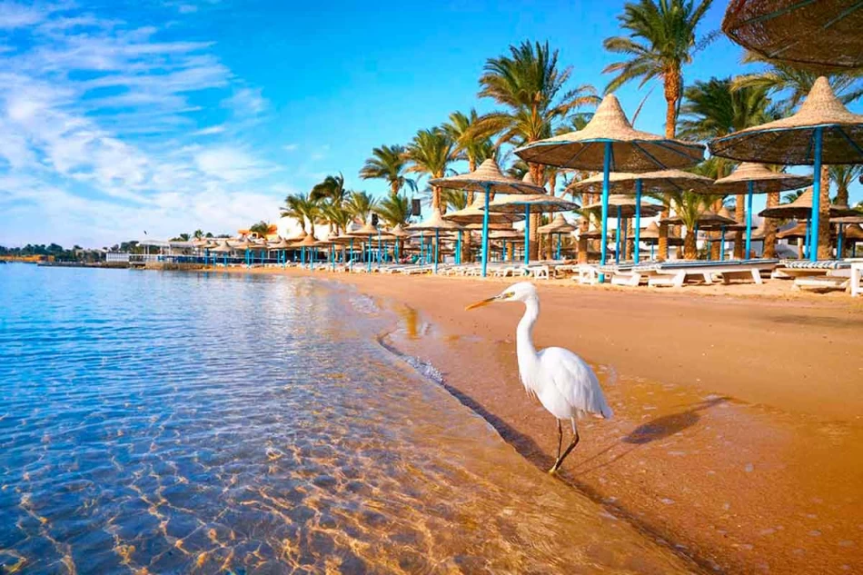 Beautiful sandy beach with crystal clear turquoise water in Hurghada, Red Sea, Egypt