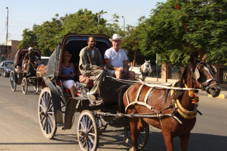 Cavallo con carrozza tradizionale a Luxor.