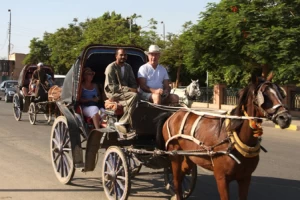 Cavallo con carrozza tradizionale a Luxor.