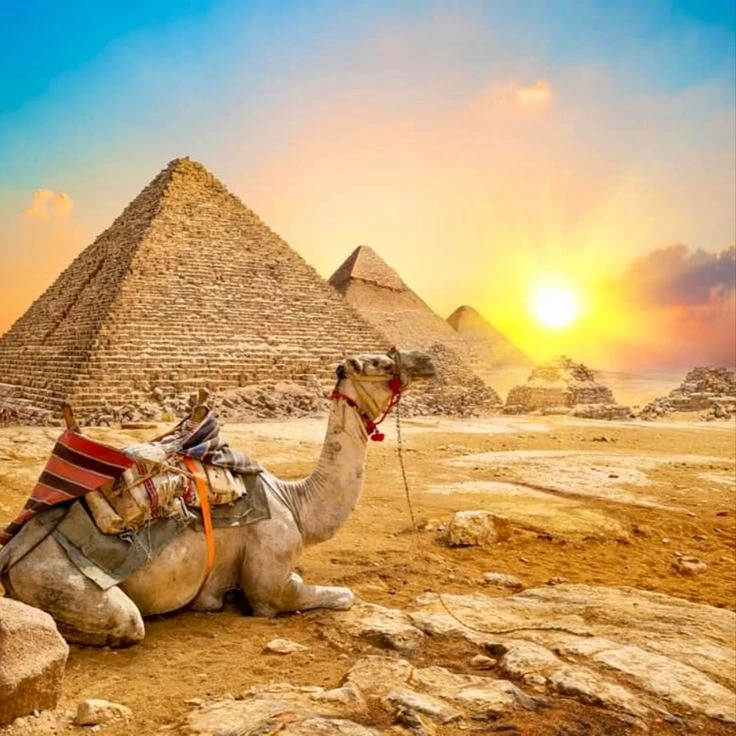 Giza Pyramids and Grand Egyptian Museum Tour