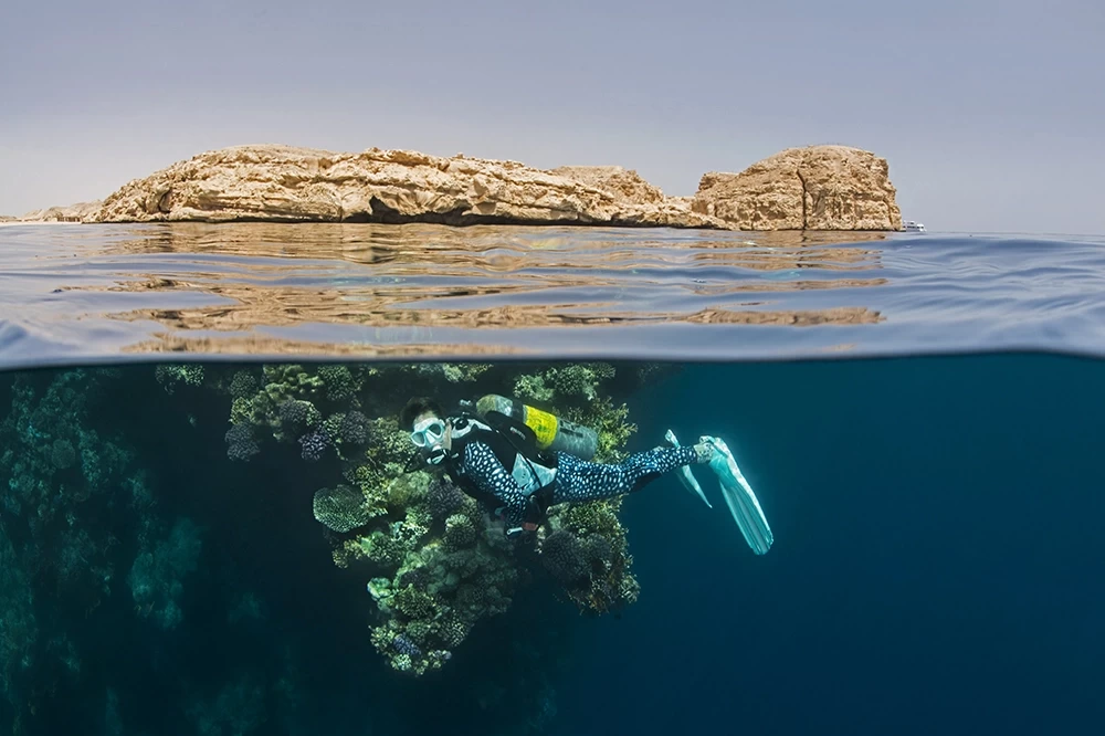Sharm El Sheikh Diving | Corso PADI e Immersioni nel Mar Rosso
