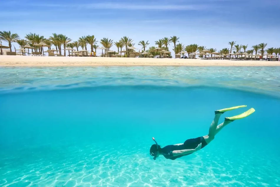 things to do in marsa alam with egypt luxury tours