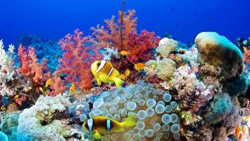Excursiones de un Día en Hurghada