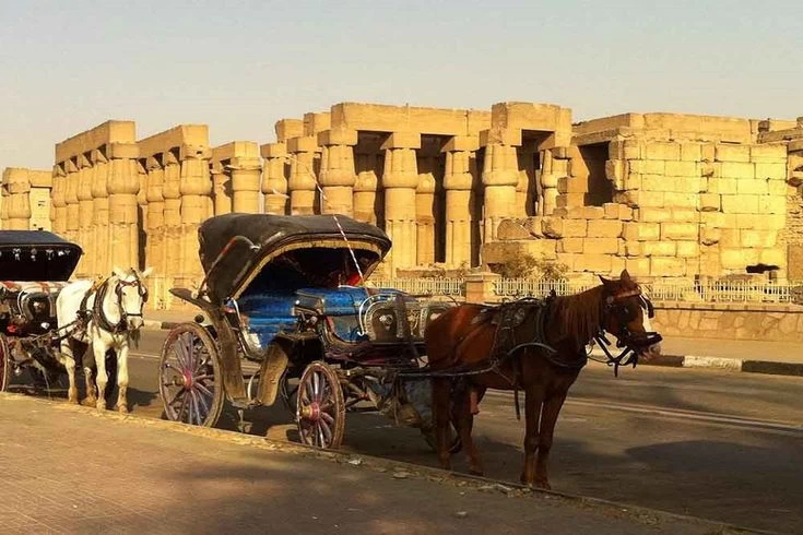 Tour De Luxor Con Carruaje De Caballos