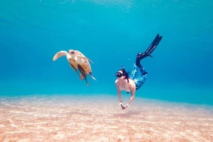 Excursión de esnórquel en el Puerto Ghalib desde Marsa Alam