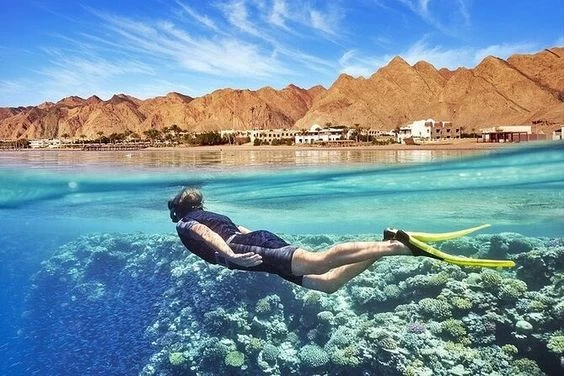 Excursiones en Dahab