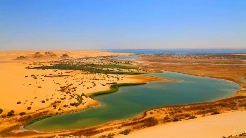 Tour di un giorno per famiglie a Fayoum