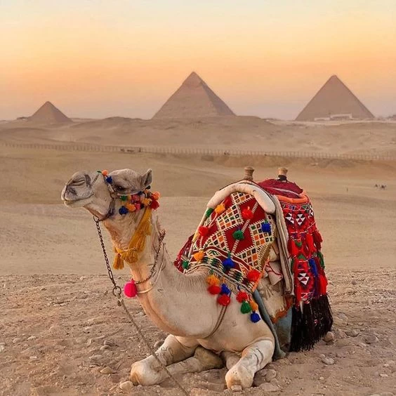 Giza attractions