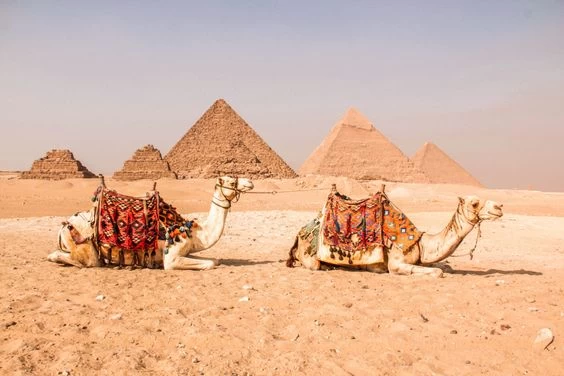 Pyramids tour & the Sphinx