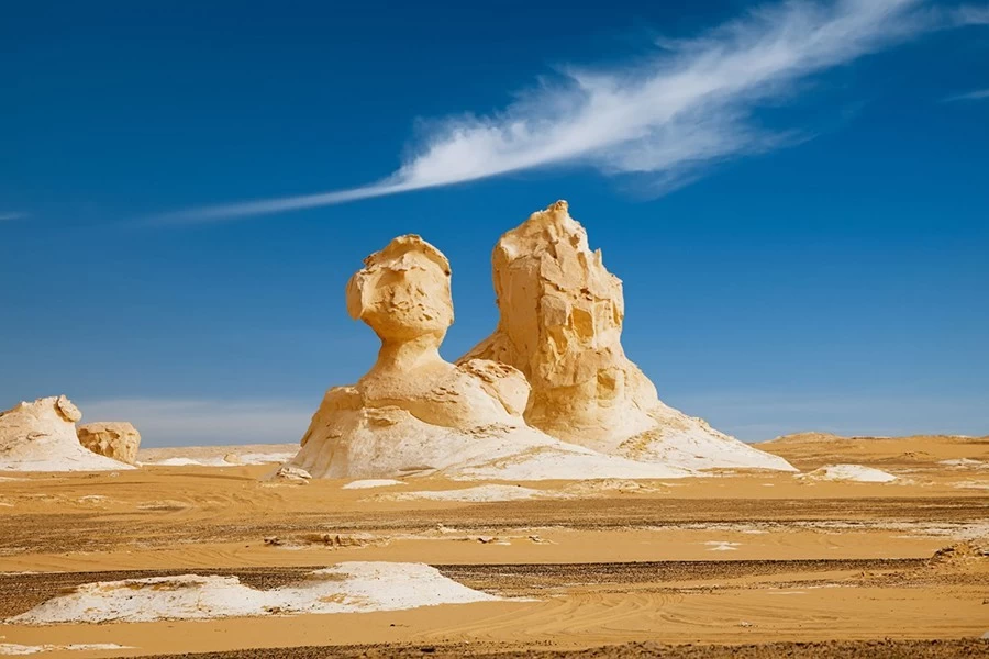 bahariya oasis