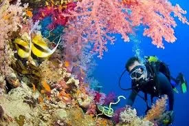 Snorkeling Sites in Hurghada