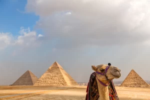 Camel Ride at the pyramids