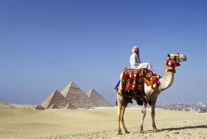 Camel Ride at the pyramids