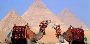 Camel Ride at the pyramids