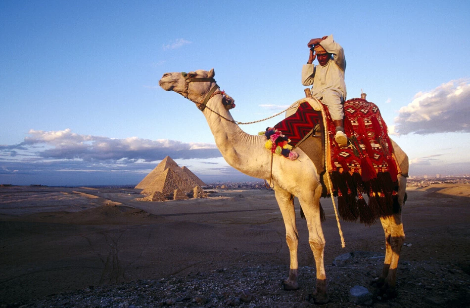 Camel Ride