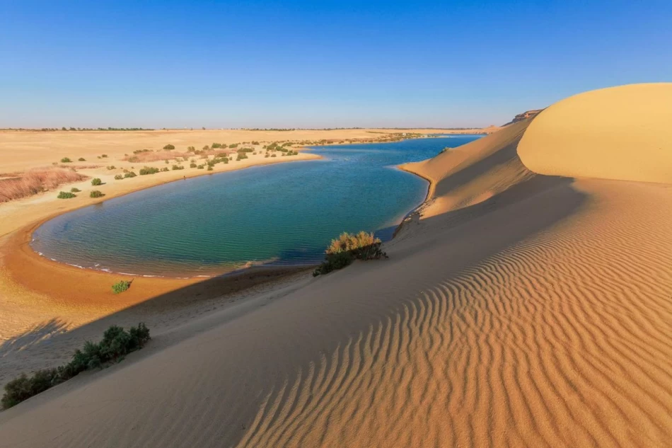 Safari El Fayoum Oasis