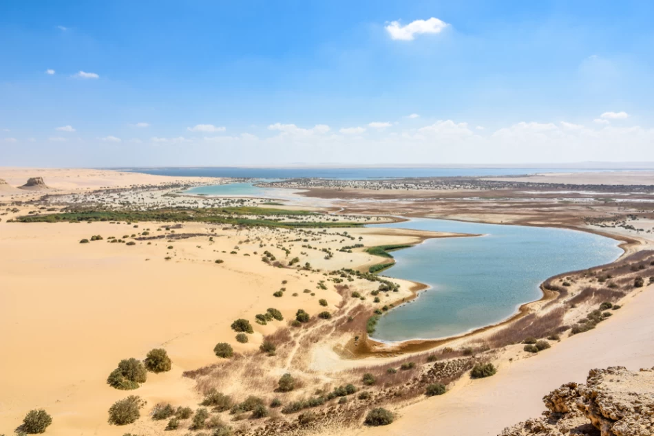 Safari El Fayoum Oasis