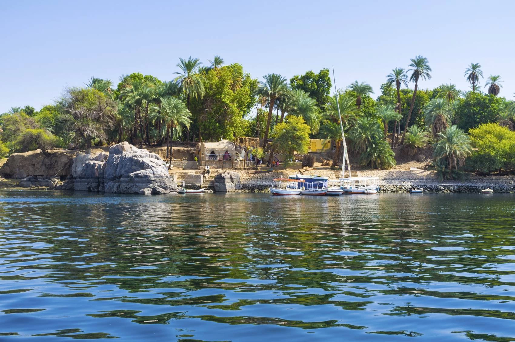 Botanical Garden in Aswan