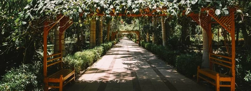 Botanical Garden in Aswan