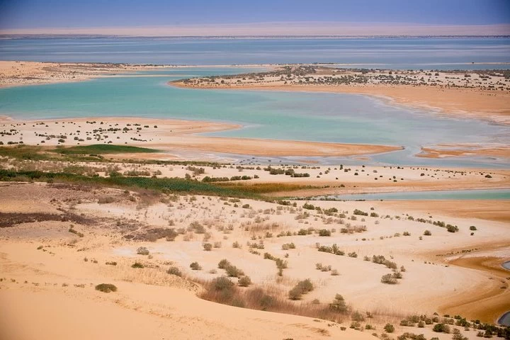 Desert Treasures & Natural Wonders at al Fayoum