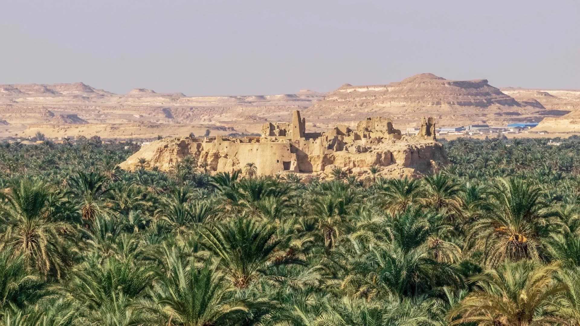 Day Trip to Siwa Oasis