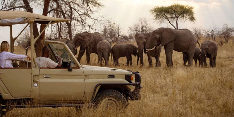 Tanzania and Zanzibar Safari Adventure tour packages