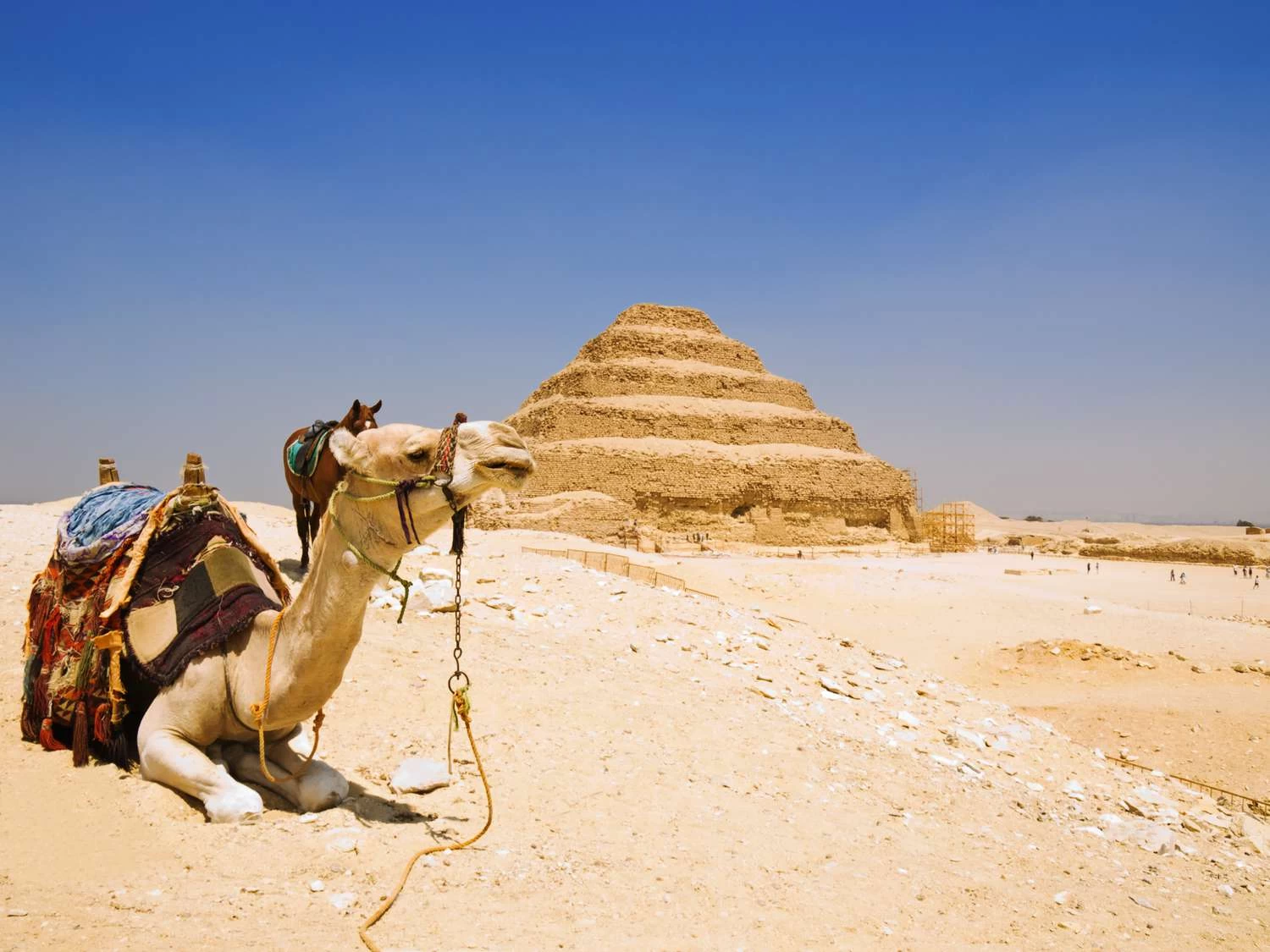 Escursione di un giorno a Saqqara