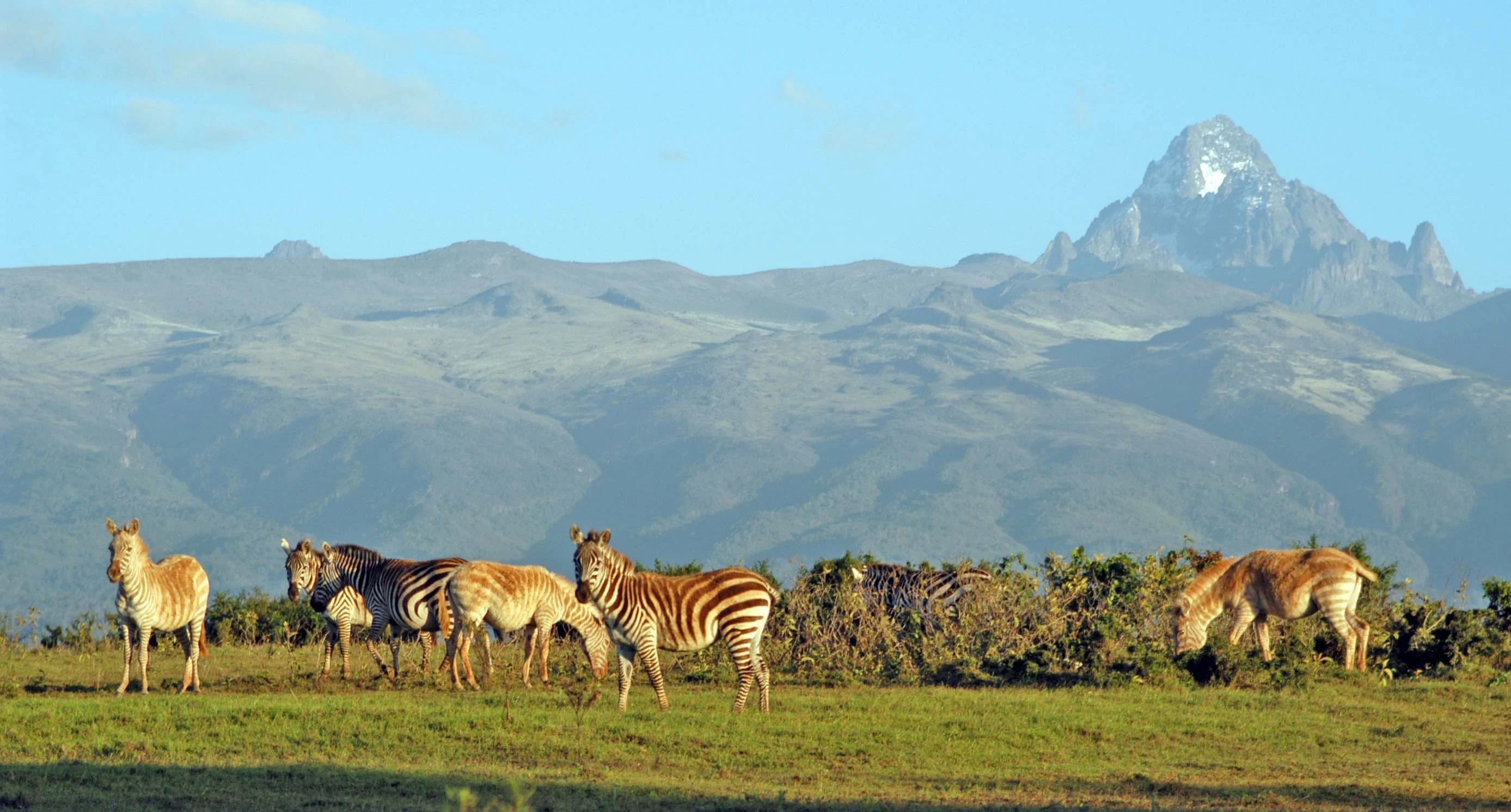 Why Do Tourists Visit Kenya?